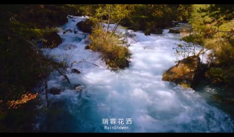 首页视频--不显示-花洒供应商_不锈钢花洒_花洒厂家_瑞霖花洒-开平市瑞霖淋浴科技有限公司-视频一