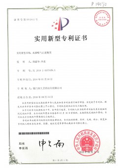 Waterway suction and anti-reversal device